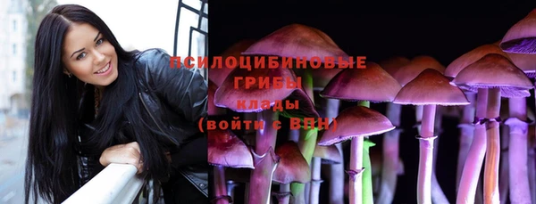 стафф Осташков