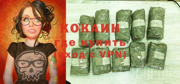дмт Нягань