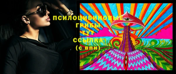 прущий лед Осинники