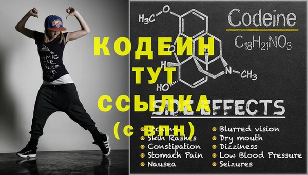дмт Нягань