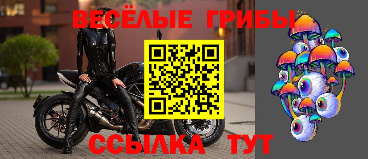 Псилоцибиновые грибы мухоморы  Галлюциногенные грибы Psilocybine cubensis  Вход с VPN  Клинцы 